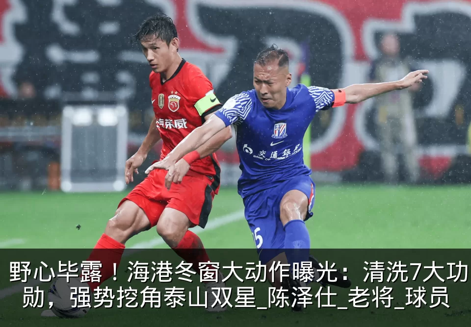 野心毕露！海港冬窗大动作曝光：清洗7大功勋，强势挖角泰山双星_陈泽仕_老将_球员